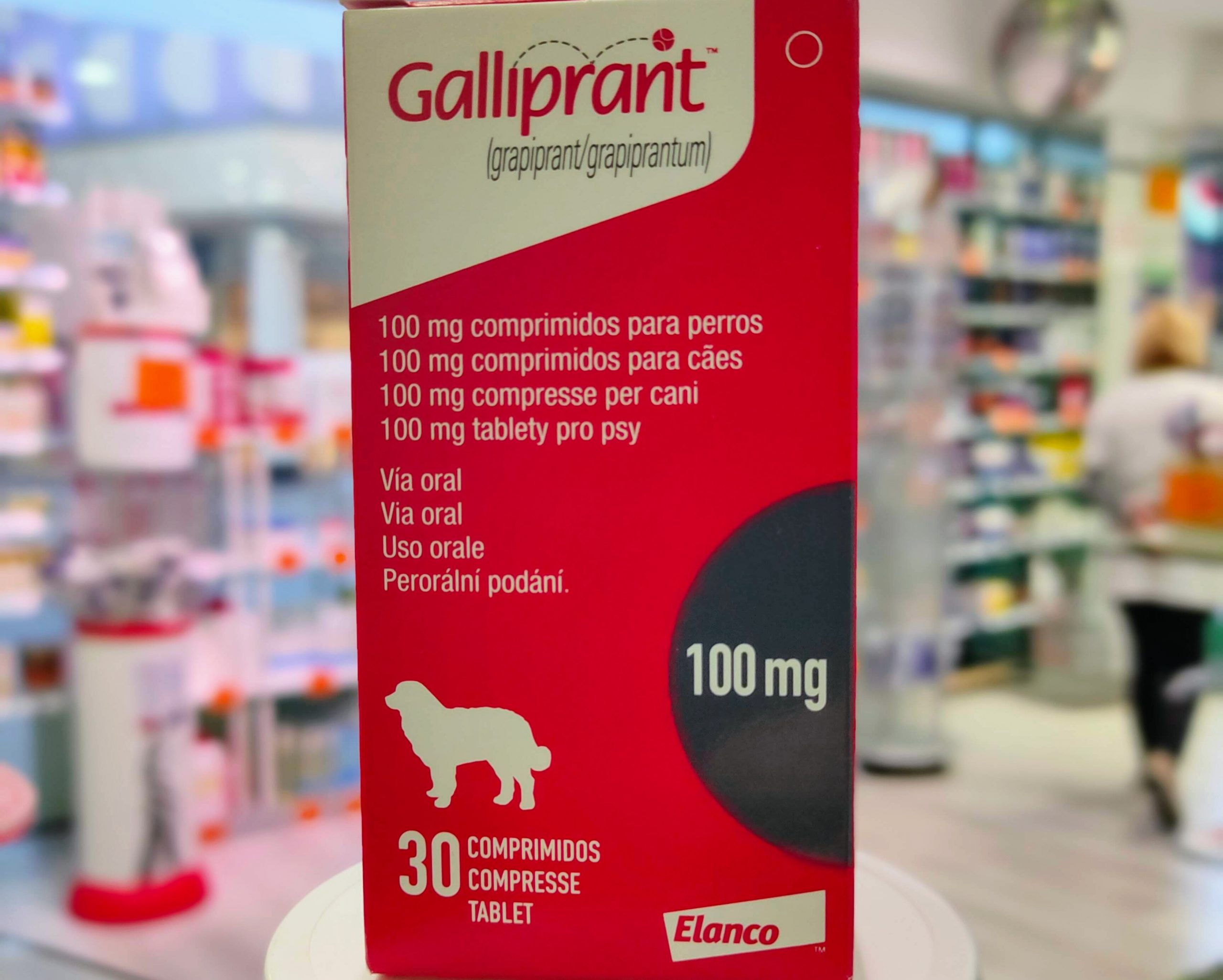 COMPRAR GALLIPRANT ELANCO 30 COMPRIMIDOS Antiinflamatorio para Perros Dolor por artrosis leve a moderada en perros