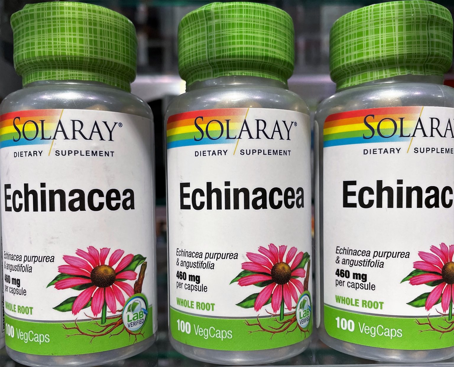 ¿Qué es la equinacea y para qué sirve? Echinacea de Solaray
