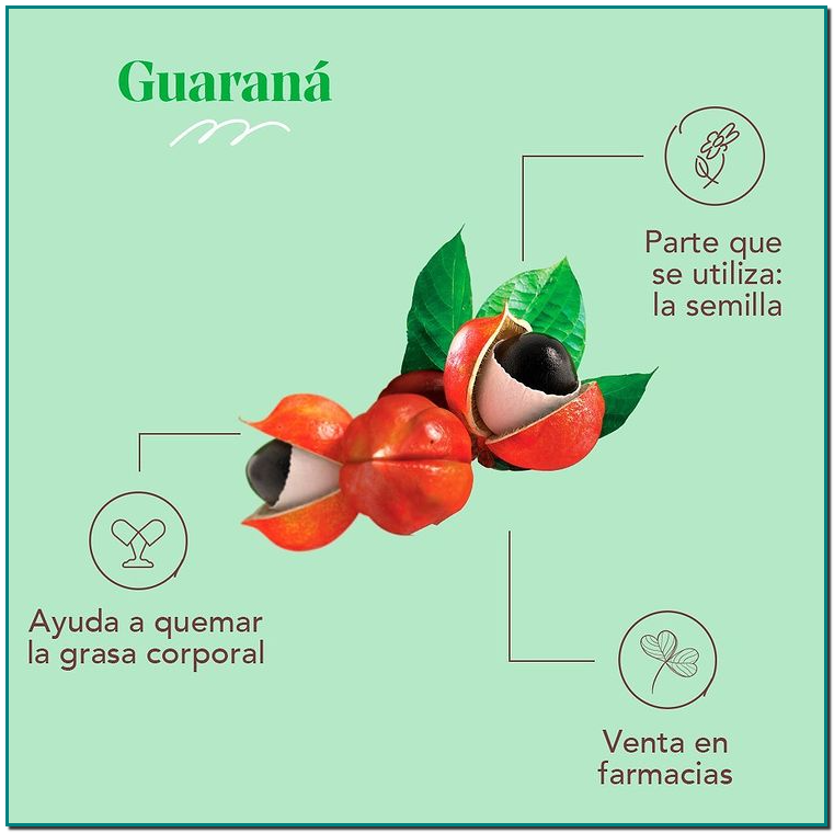 ARKOPHARMA GUARANÁ ? Esta planta es conocida como “el tónico para el control de peso”
