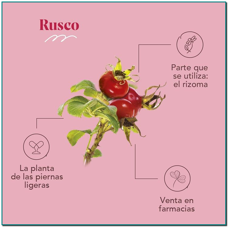 Utilizado desde hace mucho tiempo como diurético, el Rusco de ArkoPharma es conocido como la planta de las piernas ligeras