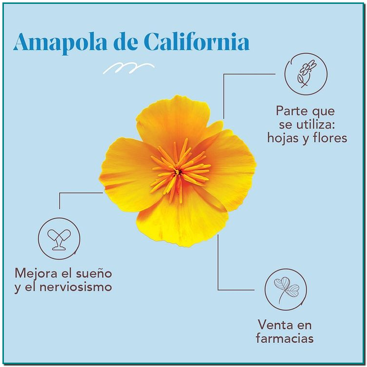 La Amapola de California contiene un hipnótico natural que ejerce un efecto beneficioso sobre la calidad del sueño en la fase de conciliación, aunque también sobre los sueños nocturnos y las pesadillas