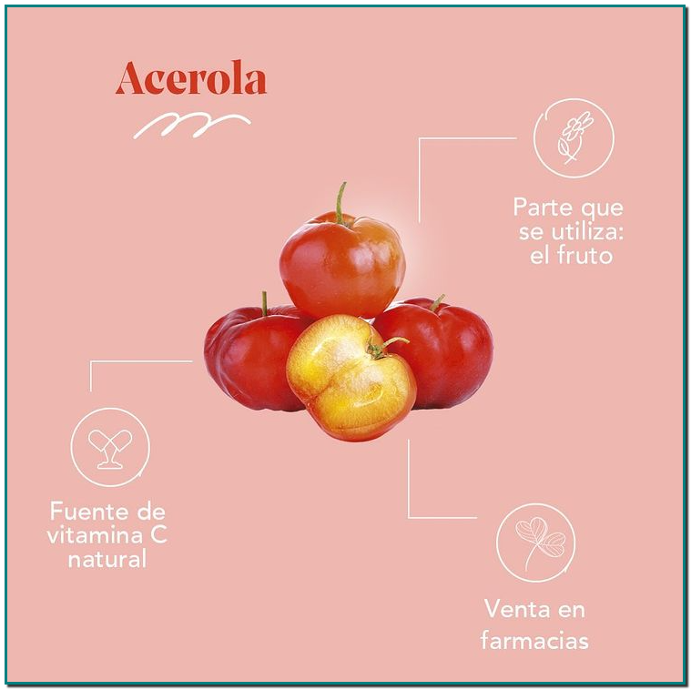 Arkopharma Acerola Sabías que la acerola es la fruta con mayor contenido de vitamina C natural