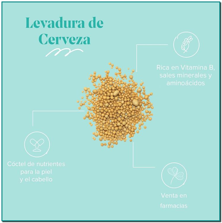 ARKOPHARMA LEVADURA DE CERVEZA ¿Sabías que la levadura de cerveza es muy utilizada en dietética? Aporta proteínas de alto valor biológico al contener todos los aminoácidos esenciales, vitamina B y sales minerales