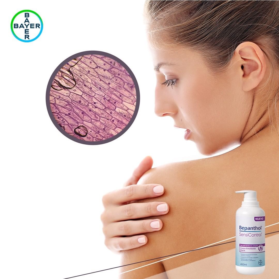 Protege y cuida tu piel sensible con el NUEVO Bepanthol® SensiControl Sabías que la piel es el órgano más grande y extenso del cuerpo humano